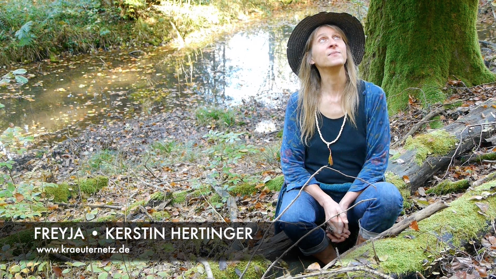 Bildschirmfreyjafilm